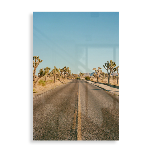 Joshua Tree Road