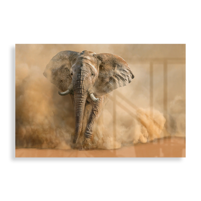 Elephant in the desert