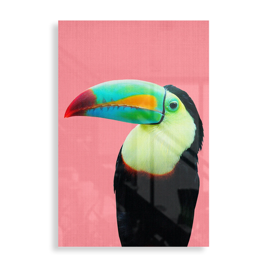 Colourful Toucan