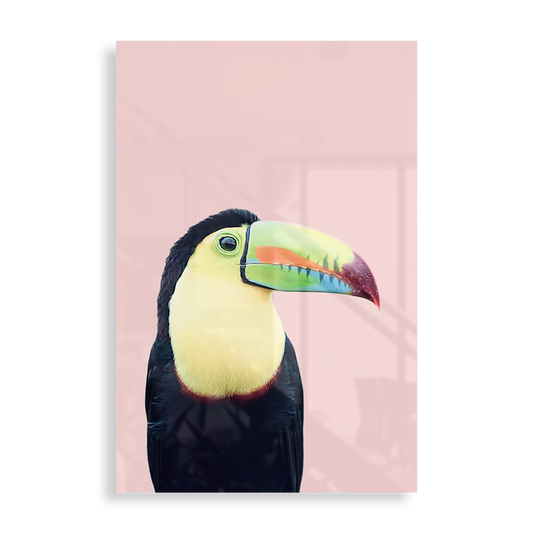 Colourful Toucan