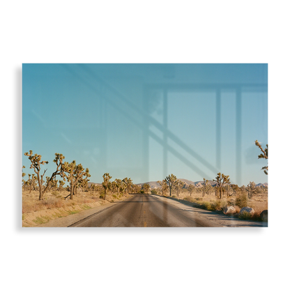 Joshua Tree Road, USA