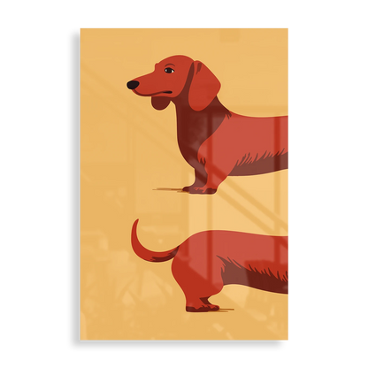 Dachshund